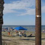 living in Cyprus: view of a beach in summer